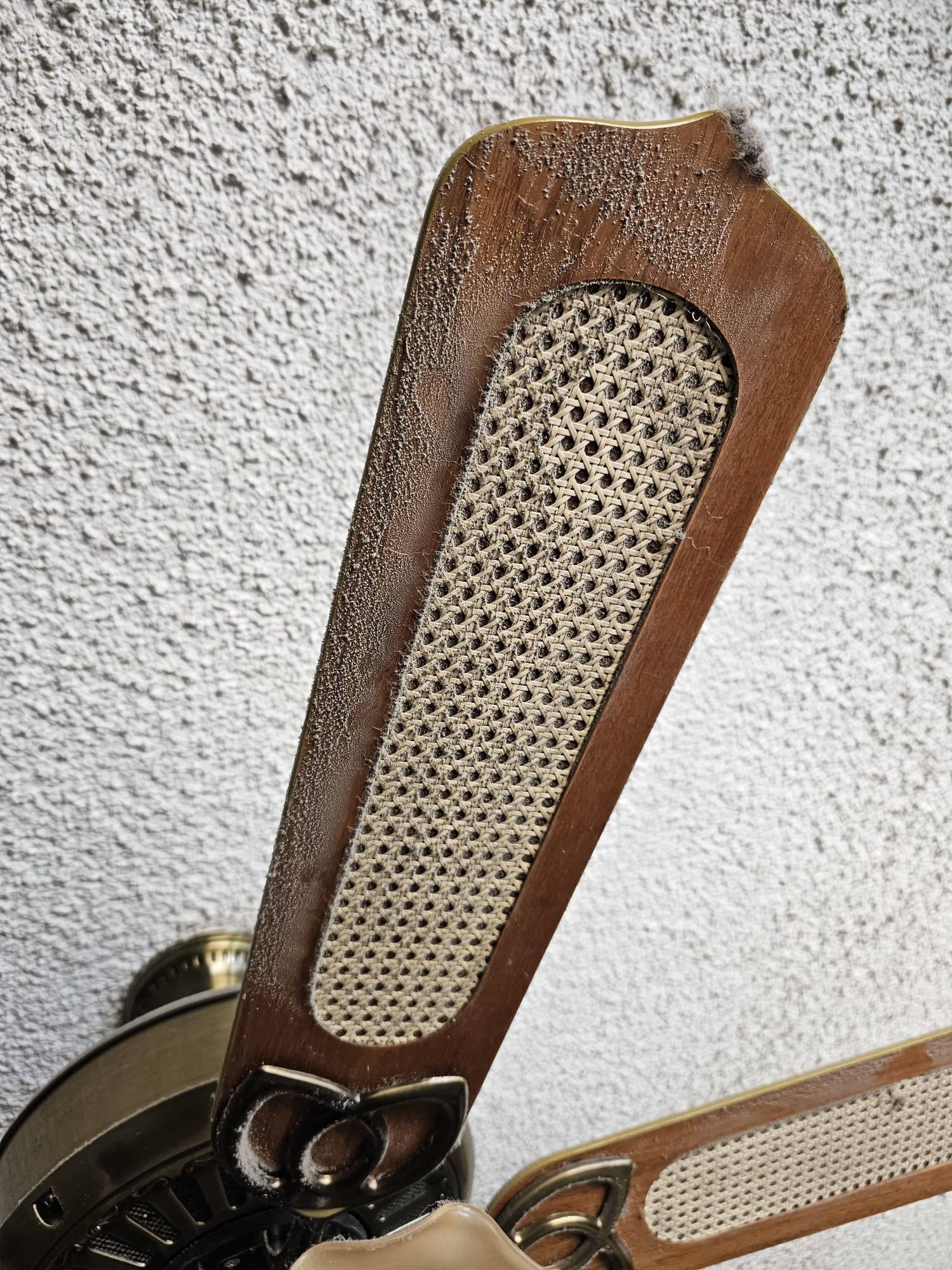 ventilador antes